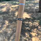 FOCUSbands